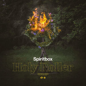 Holy Roller by Spiritbox
