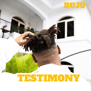 Testimony by BNXN