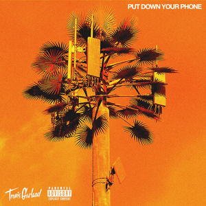 Put Down Your Phone by Travis Garland