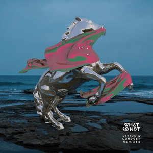Divide & Conquer (Remixes) by What So Not