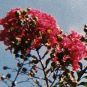 over u by keshi
