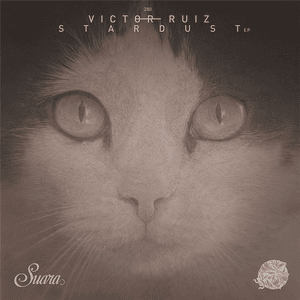 STARDUST EP by Victor Ruiz