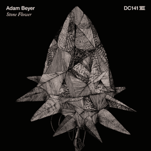 Stone Flower by Adam Beyer