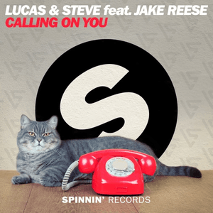 Calling On You by Lucas & Steve
