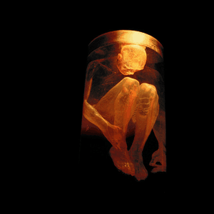 Nothing Safe - The Best Of The Box by Alice in Chains