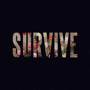 Survive by Lewis Capaldi