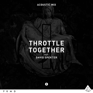Together (Acoustic Pack) by Throttle