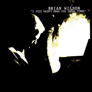 I Just Wasn't Made for These Times by Brian Wilson