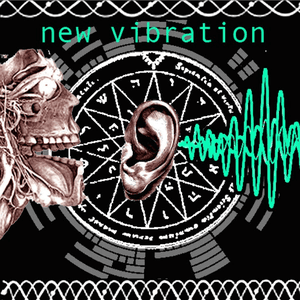 New Vibration by King Prawn