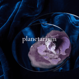 Planetarium by Slothrust