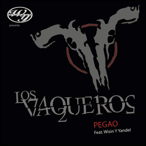 Pegao by Wisin & Yandel