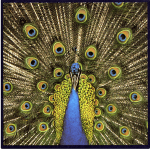Expecting To Fly (Expanded Edition) by The Bluetones