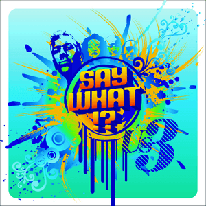 Say What !? by Us3