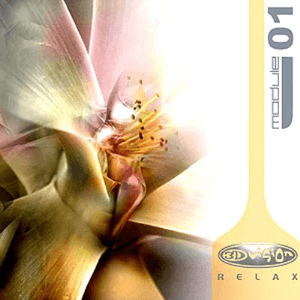 module 01 by Jadis