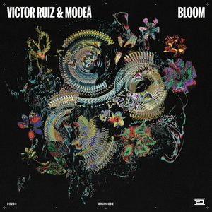 Bloom by Victor Ruiz