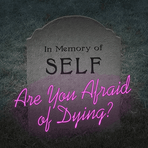 Are You Afraid of Dying? by The Good Life