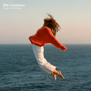 What Love Looks Like by Elle Limebear