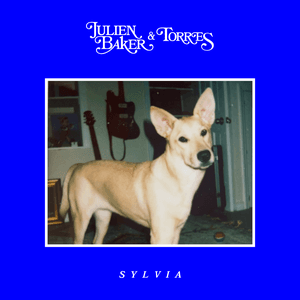 Sylvia by Julien Baker