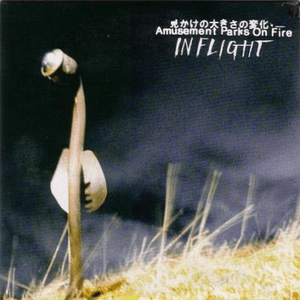 In Flight by Amusement Parks On Fire