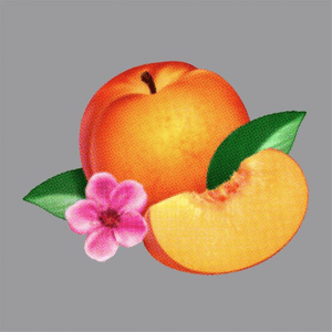 Bankrupt! by Phoenix