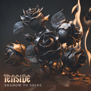 Shadow to Shine by Tenside