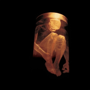 Nothing Safe by Alice in Chains