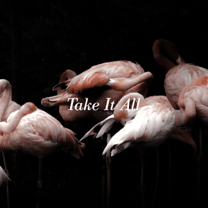 Take It All by Iceage