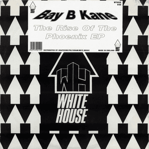 The Rise Of The Phoenix EP by Bay B Kane