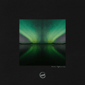 Borealis (Thylacine Remix) by Sofiane Pamart