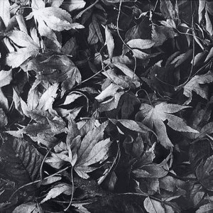 All Different Things by Bark Psychosis