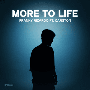 More To Life by Franky Rizardo