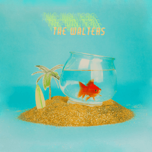 Hunk Beach / I Wanna Be Good by The Walters