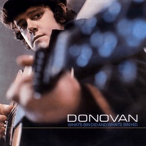 What's Bin Did And What's Bin Hid by Donovan