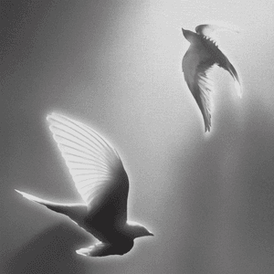 Doves, '25 on Blank Canvas by Hindia