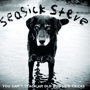 You Can't Teach An Old Dog New Tricks by Seasick Steve