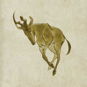 Hartebeest by Yaelokre