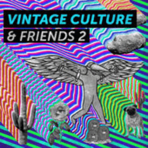 Vintage Culture & Friends 2 by Vintage Culture