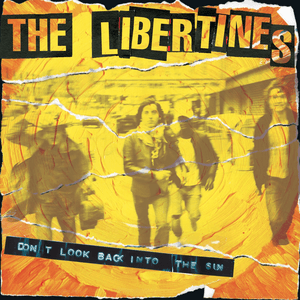 Don't Look Back Into the Sun by The Libertines