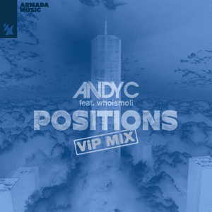Positions (VIP Mix) by Andy C