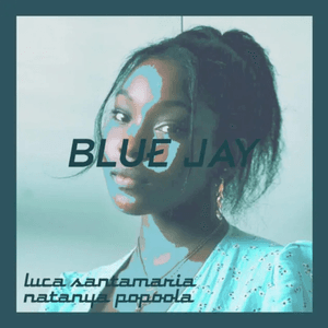 Blue Jay by Natanya