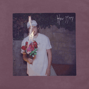How Many by Shoffy