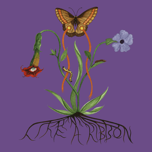 Like A Ribbon (Deluxe) by John Glacier