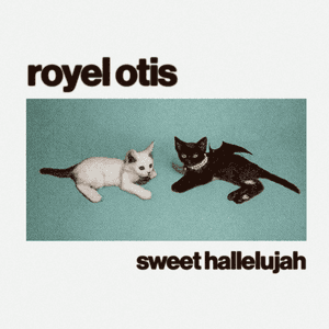 Sweet Hallelujah by Royel Otis