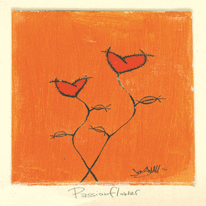 Passionflower by Jon Gomm