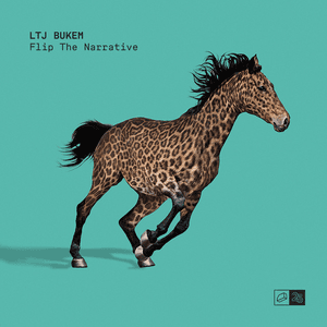 Flip the Narrative by LTJ Bukem