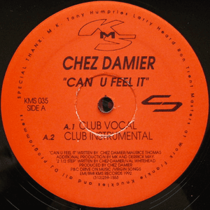 Can You Feel It by Chez Damier