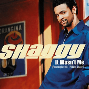 It Wasn't Me by Shaggy