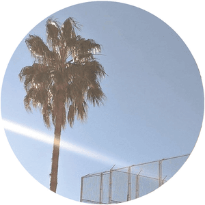 Rendezvous by Baltra