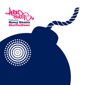 Shot You Down (Radio Edit) by Audio Bullys