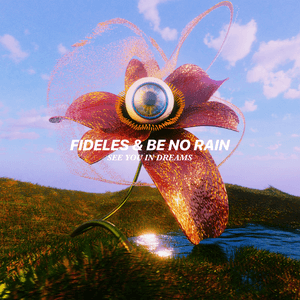 See You In Dreams by Fideles